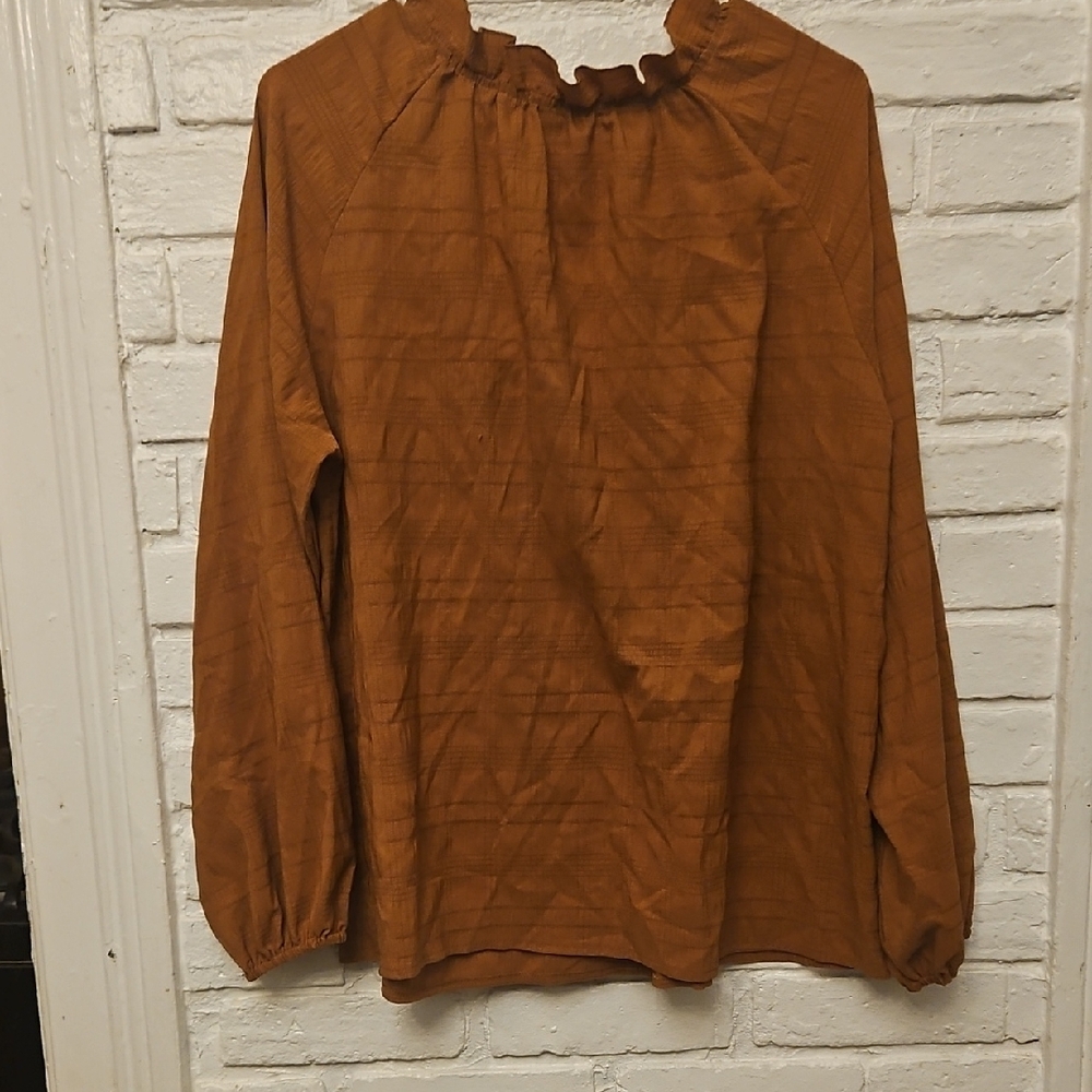 Elegant Rust Ruffled Blouse - Picture 4 of 5